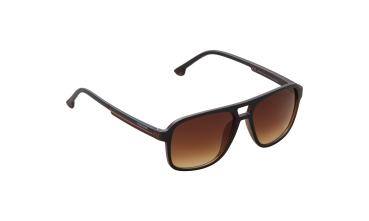 NOA 25-007BB
