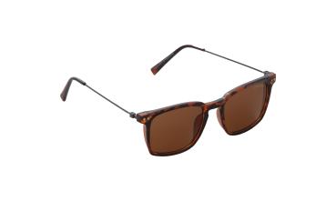 NO 25-015 BB